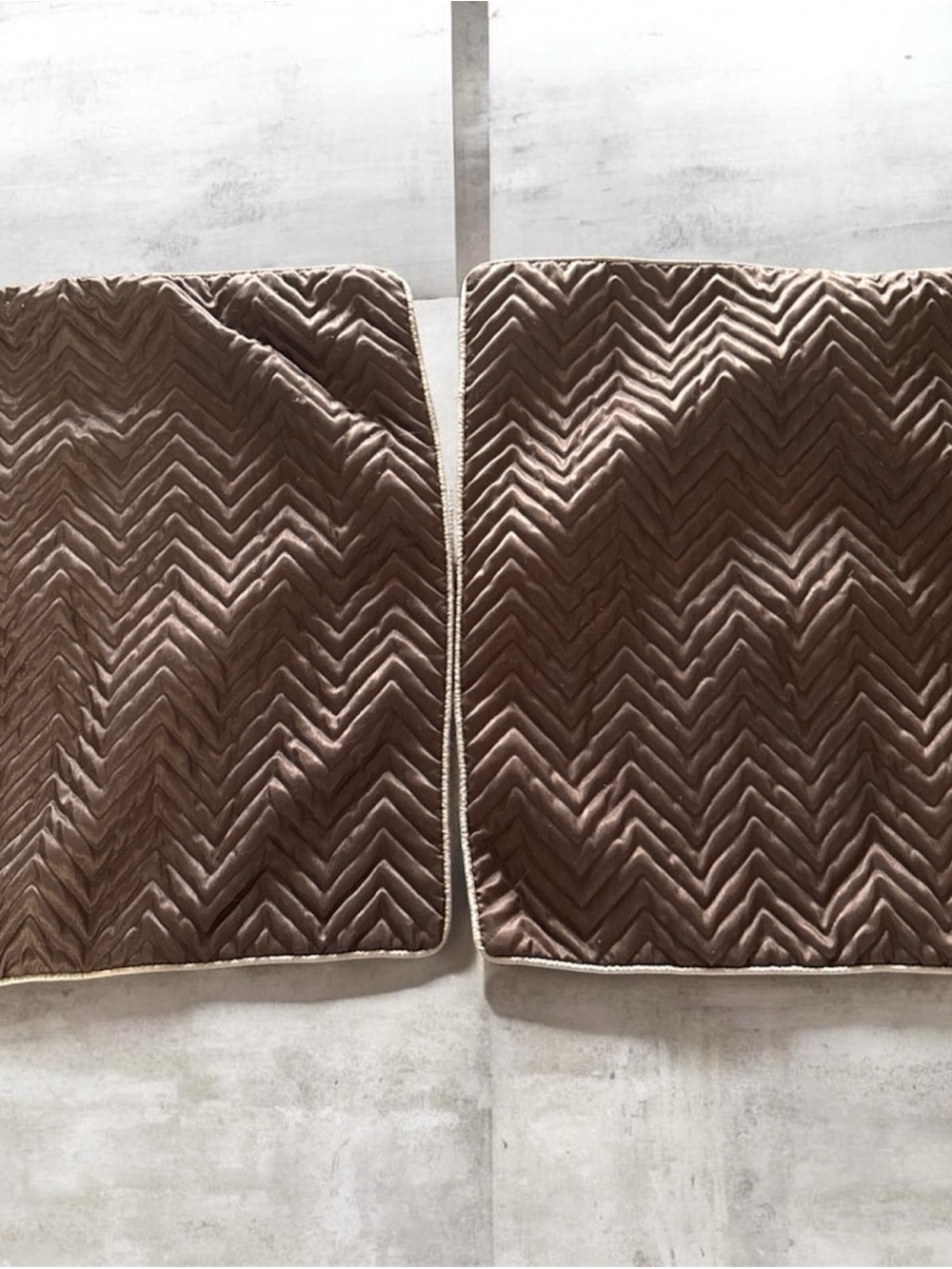 Madison Park Velvet Chevron Pillow Shams in Taupe